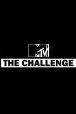 The Challenge: Season 29