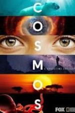Cosmos A Spacetime Odyssey: Season 1