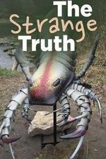 The Strange Truth: Season 1