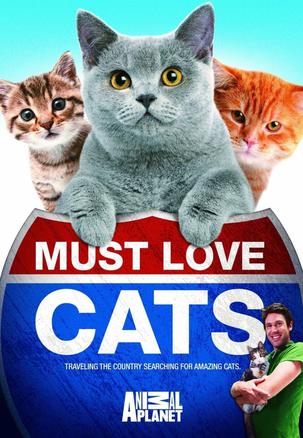 Must Love Cats: Season 1