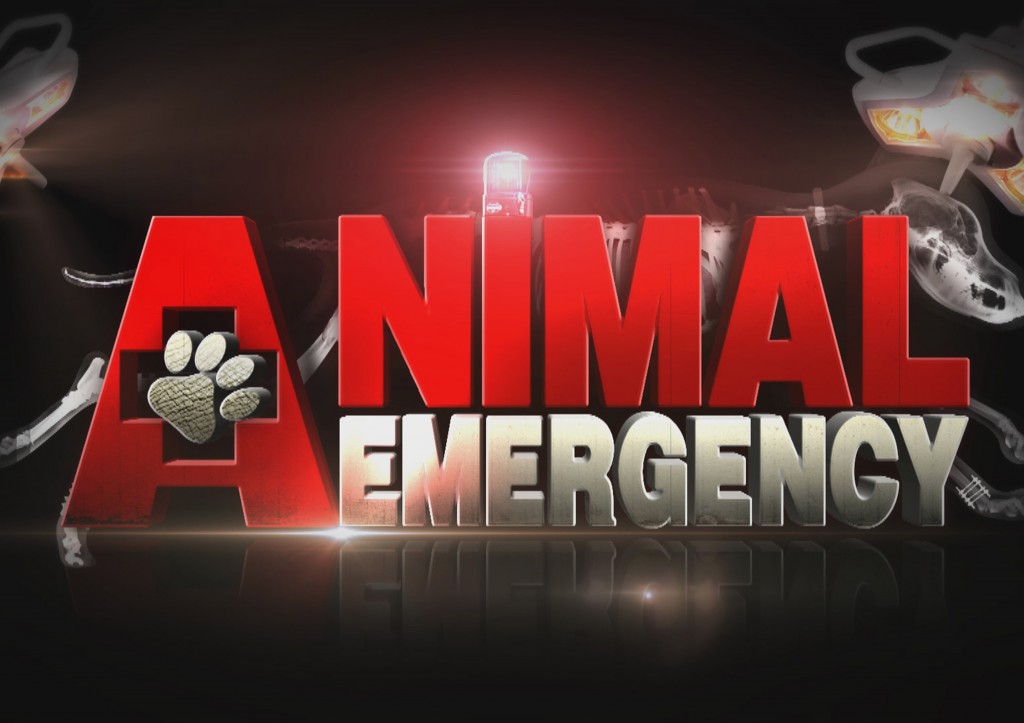 Animal Emergency: Season 1