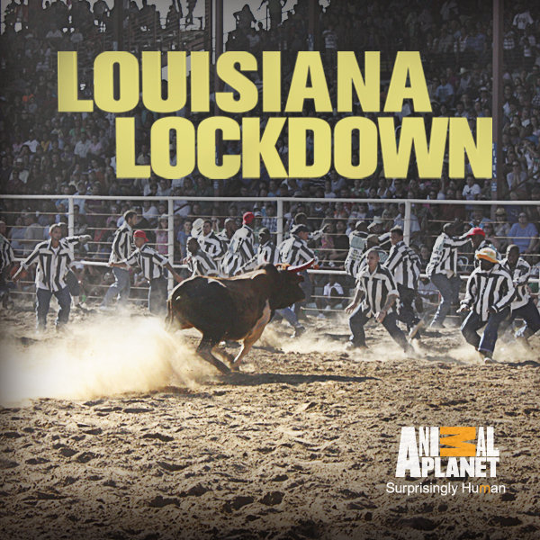 Louisiana Lockdown: Season 1