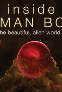 Inside The Human Body: Season 1