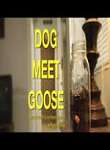 Dog Meet Goose