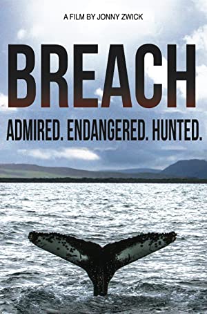 Breach 2015