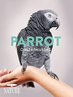 Nature Parrot Confidential