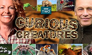 Curious Creatures: Season 2