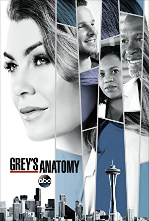 Grey's Anatomy: Season 14