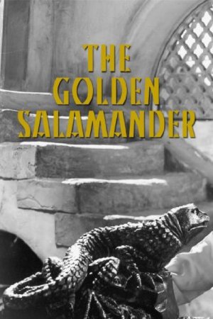 Golden Salamander