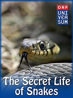 The Secret Life Of Snakes