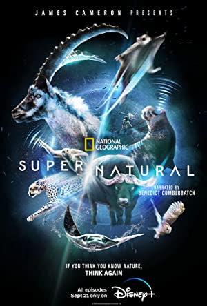 Super/natural: Season 1