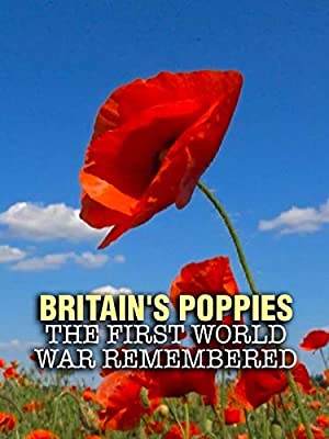 Britain's Poppies: The First World War Remembered