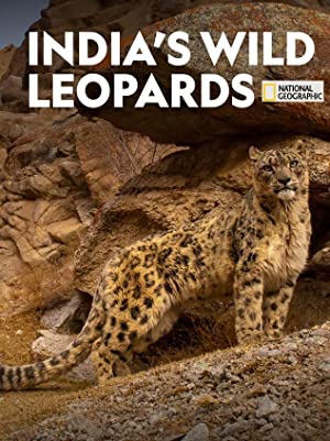 India's Wild Leopards