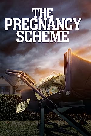 The Pregnancy Scheme