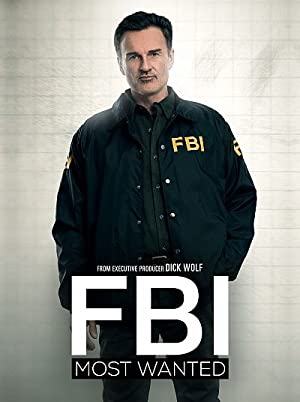 Fbi: Most Wanted: Season 4