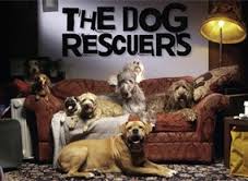 The Dog Rescuers: Season 1