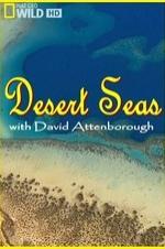Desert Seas