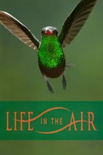 Life In The Air: Season 1