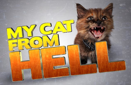 My Cat From Hell: Season 5