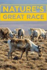 Nature's Great Race: Season 1