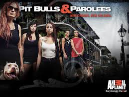 Pit Bulls And Parolees: Season 4