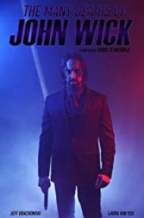 The Many Deaths Of John Wick